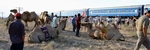 Transsiberi� Express 16 dgn Moskou-Beijing va 2.195,-
