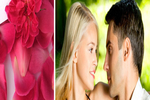 Romantische arrangementen vanaf 59 euro p.p!