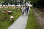 Actieve vakantie in Nederland v.a 175,50