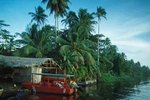16-daagse individuele reizen door Costa Rica v.a 1698,-