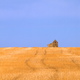Alberta prairie