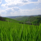 Toscane Chianti