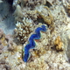Hurghada duiken