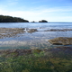 tasmanie