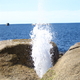 tasmanie