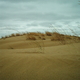 manitoba