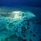 the great barrier reef