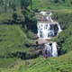 colombo