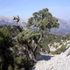 Sardinie