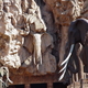Palace of the Lost City