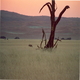 Tuinroute Zuid Afrika