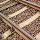 Indian Pacific Railroad
