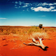 Outback