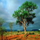 Australie reizen aanbiedingen