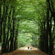 De Veluwe