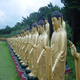 Zuid Korea reizen