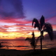 Vakantie naar Honolulu op Hawaii