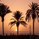 Goedkope tickets Eilat boeken