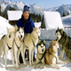 wintersport Oostenrijk Brandnertal: sledehonden