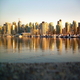 Vancouver budget tips