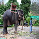 Thailand vakantie