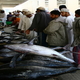 Muscat