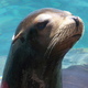vakantie Orlando florida