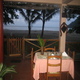 Trinidad & Tobago