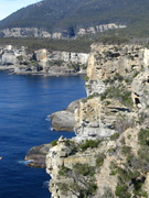 Tasmanie