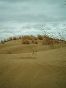 Manitoba