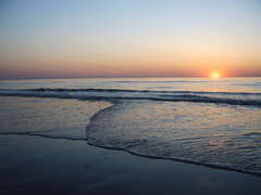 Belgische kust