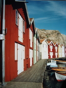 Scandinavie