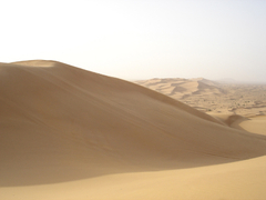 woestijntrip vanuit Dubai