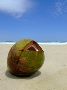 Vliegtickets Sint Maarten - kokosnoot