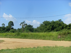 Suriname budget tips