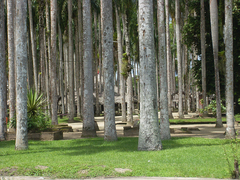 Paramaribo