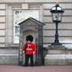 Bezienswaardigheden Londen > Buckingham Palace