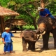 Thailand reizen met kinderen