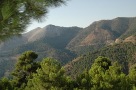 De Sierra Nevada