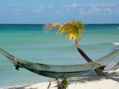 vakantie jamaica