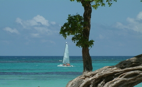 vakantie jamaica