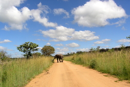 Nationaal Park Zuid Afrika