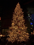 kerstboom verlicht