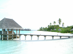 beach malediven