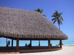 vakantie Frans- Polynesië