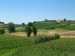 Italie landschap