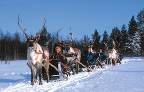 Wintervakantie Fins-Lapland