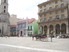 plein Havana